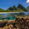 Le Samudra Art Prize : valoriser notre « Amazing Coral Ecosystems »